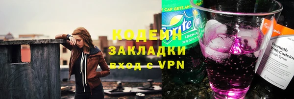 шишки Верея