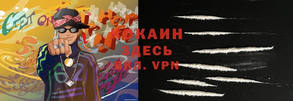 шишки Верея