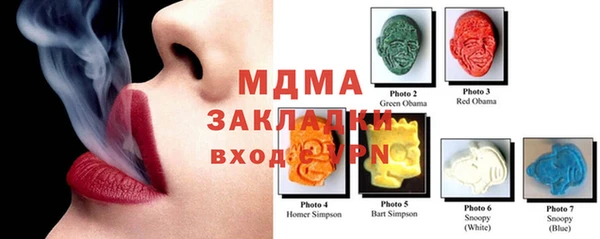 шишки Верея