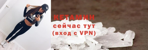 шишки Верея