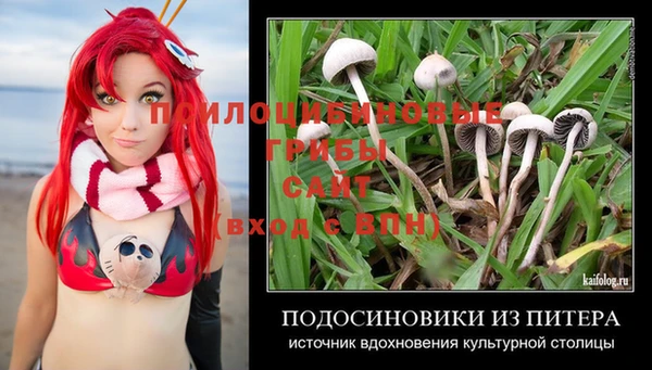 шишки Верея