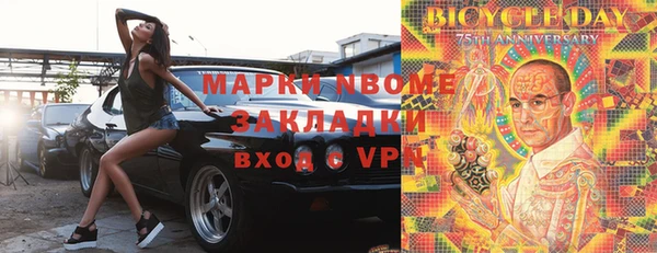 шишки Верея