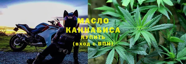 шишки Верея