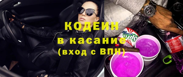 шишки Верея
