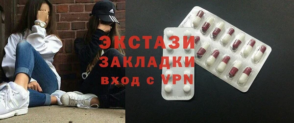 шишки Верея